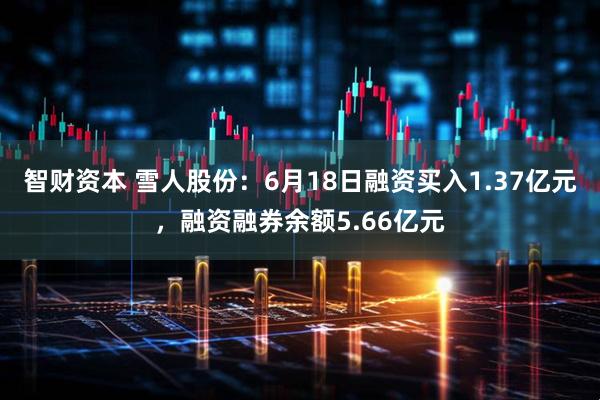 智财资本 雪人股份：6月18日融资买入1.37亿元，融资融券余额5.66亿元